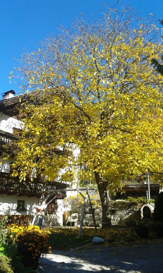 Huberhof Daire Bressanone Dış mekan fotoğraf